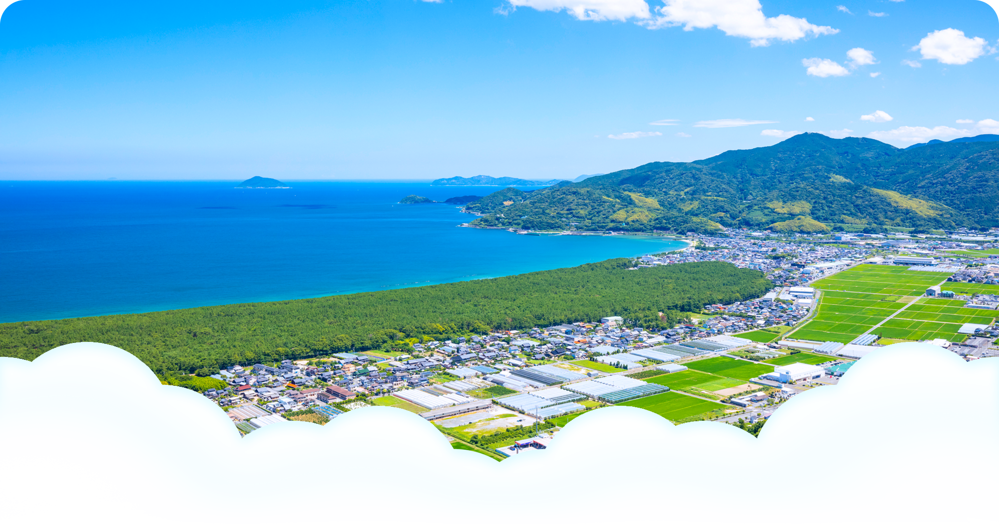 社会福祉法人あやめ会