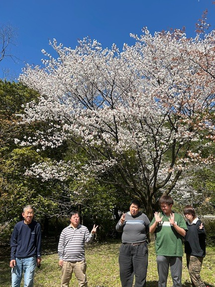 4月　お花見